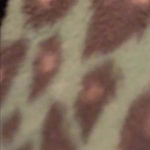 Meet your Posher, Breanna